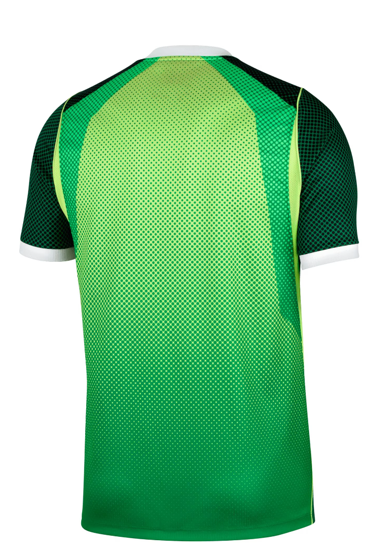 Nigeria National Team Nike Jersey back - Super Eagles green kit
