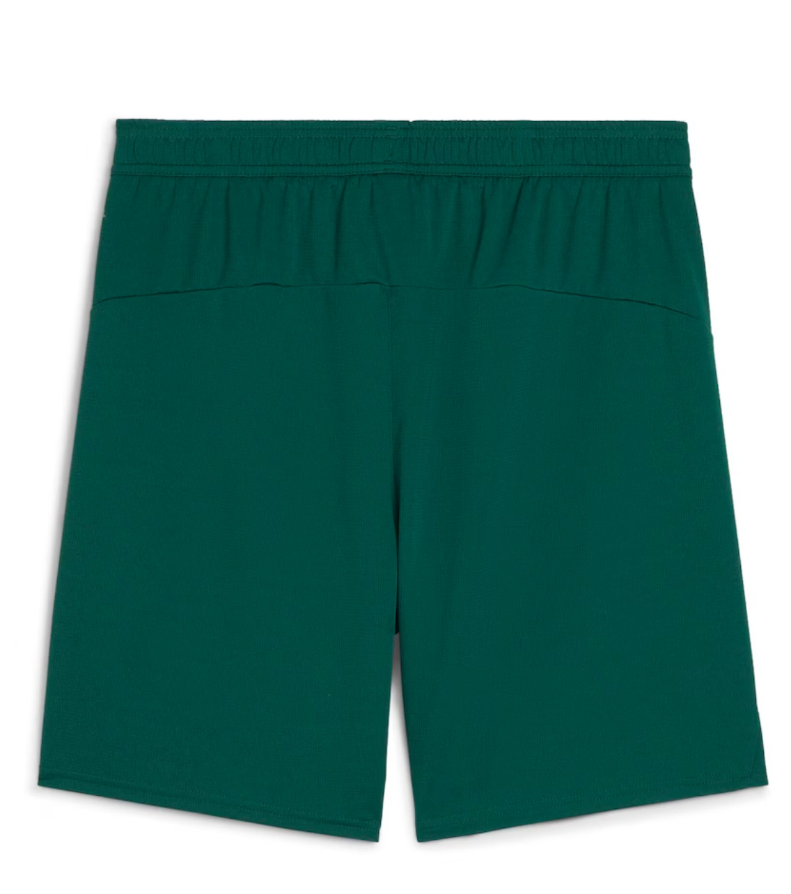 Portugal Green Shorts back